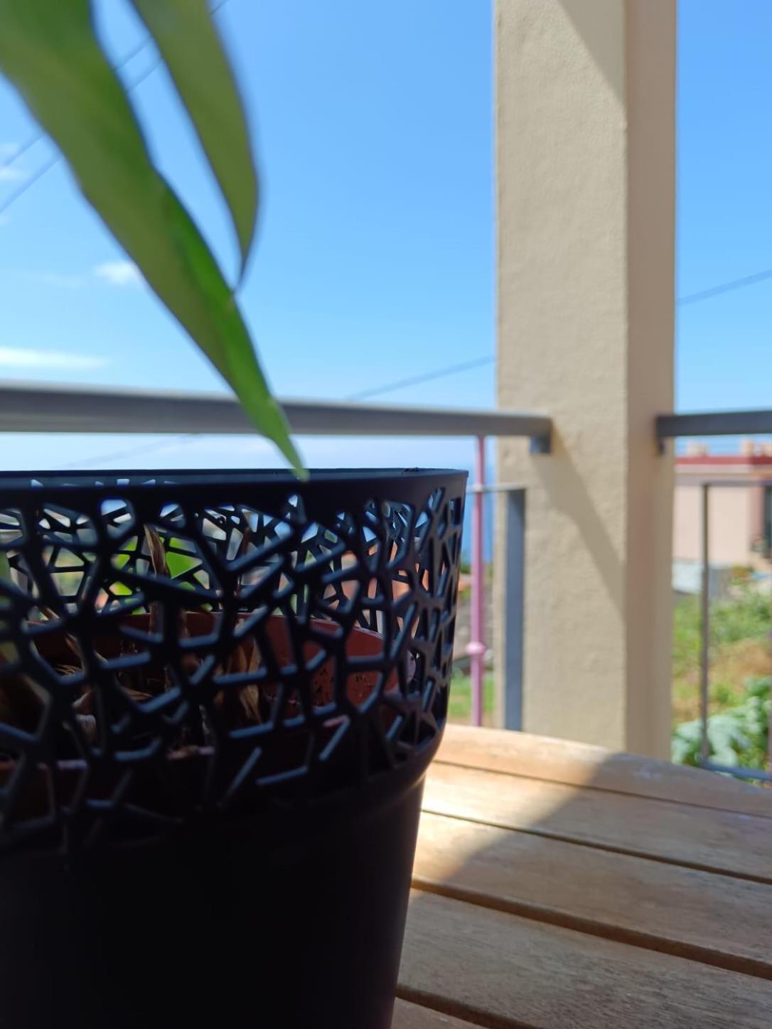 Casa Central - Peceful Mountain Retreat In Calheta Ribeira do Raposo Екстериор снимка